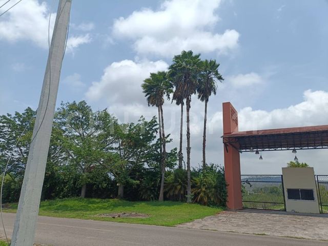 place photo 67