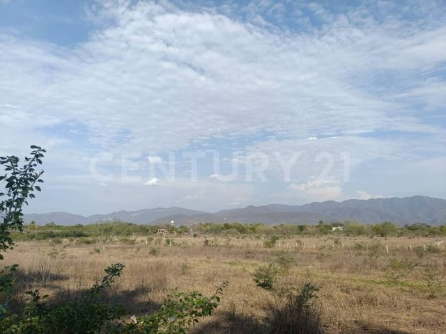 place photo 62