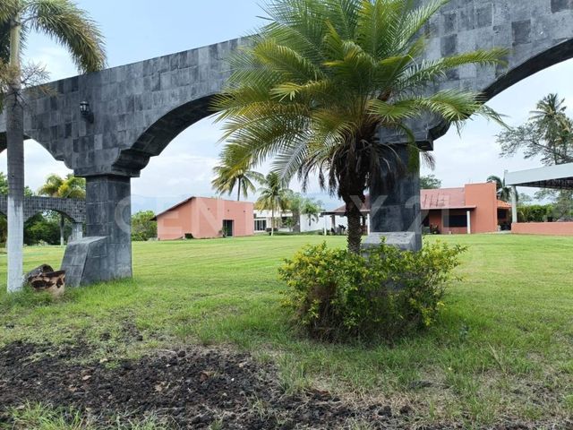 place photo 39