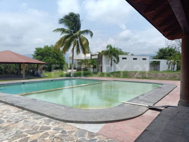 place photo 36