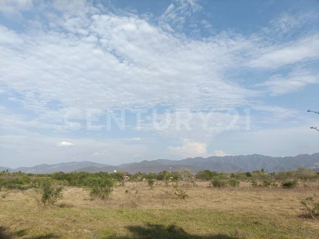 place photo 63