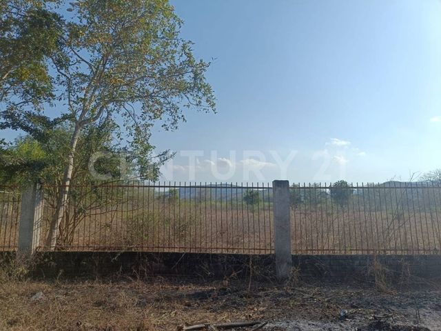 place photo 66
