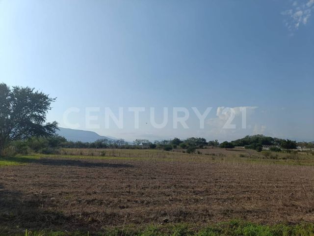 place photo 61