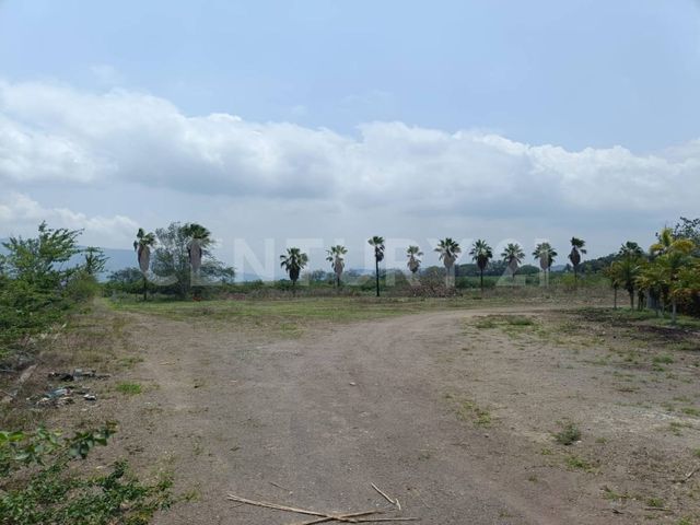 place photo 42