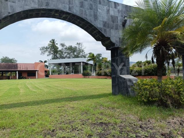 place photo 37
