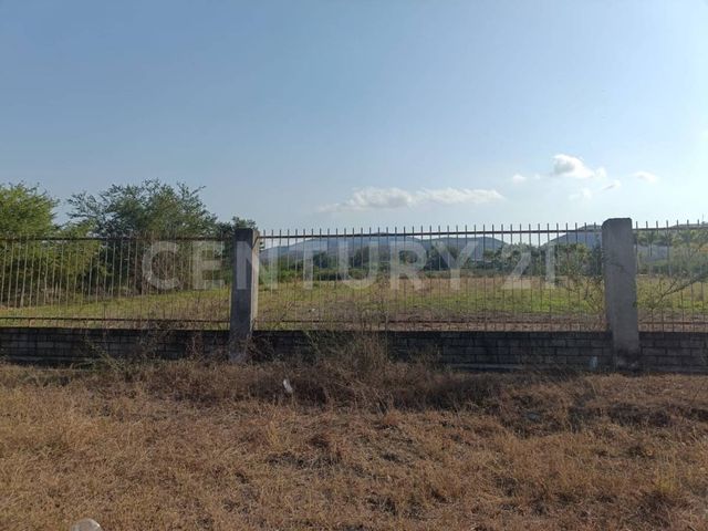 place photo 65