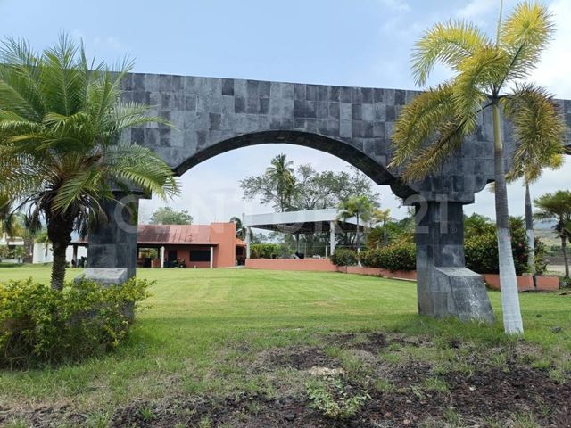 place photo 38