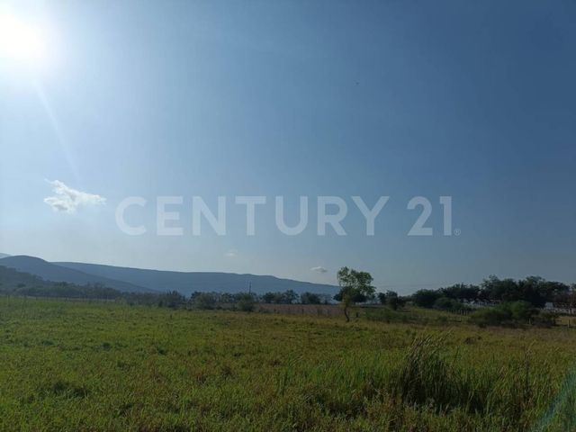 place photo 64