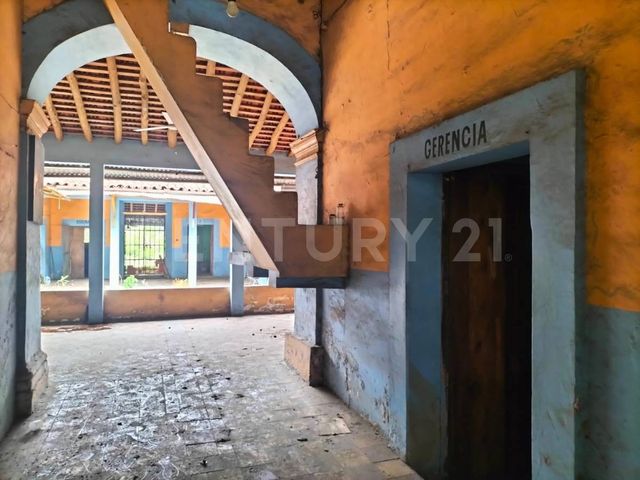 place photo 17