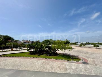 place photo 41