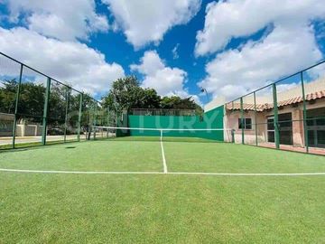 place photo 16