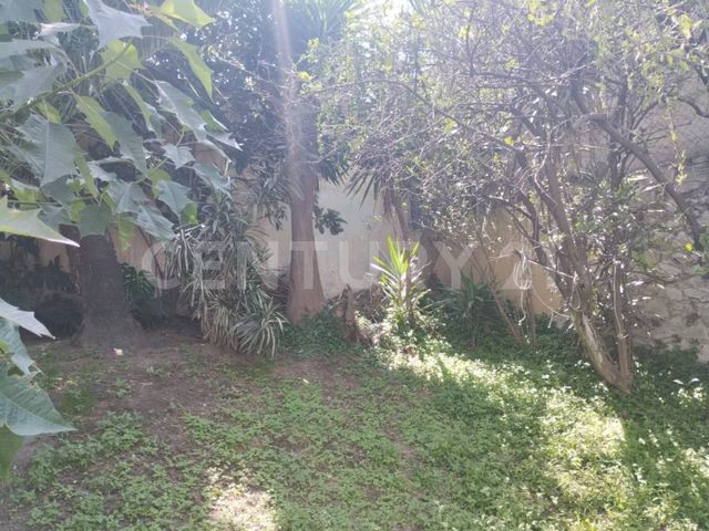 place photo 35
