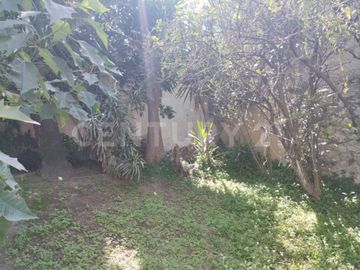 place photo 35