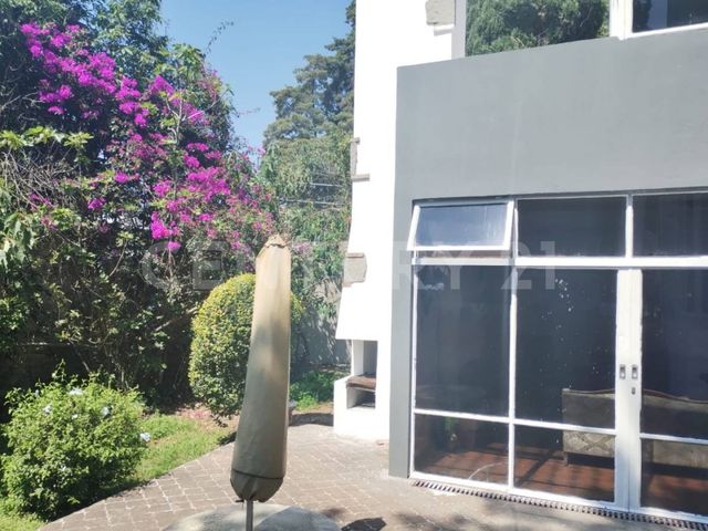place photo 37