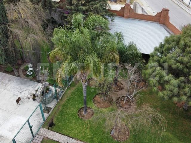 place photo 33