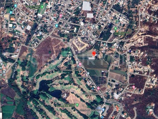 place photo 5