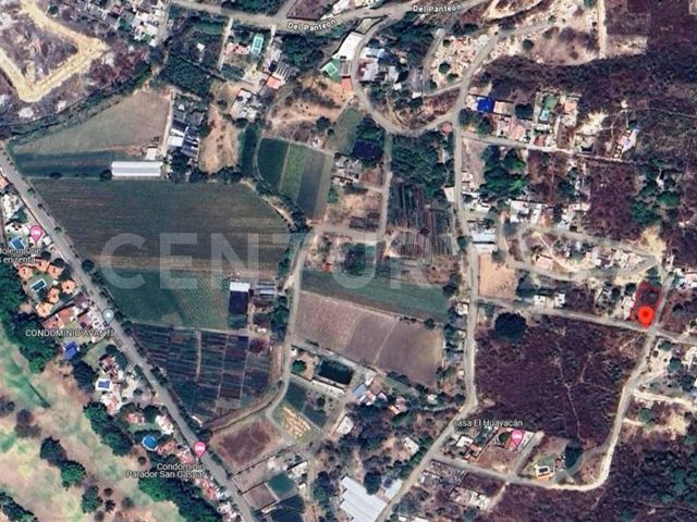place photo 5