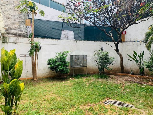 place photo 38
