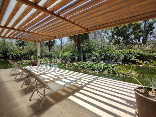 place photo 41