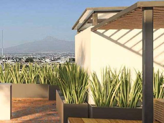 place photo 41