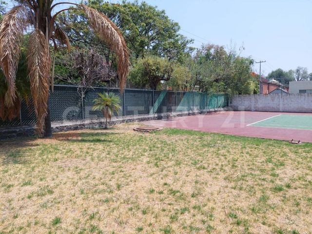 place photo 4