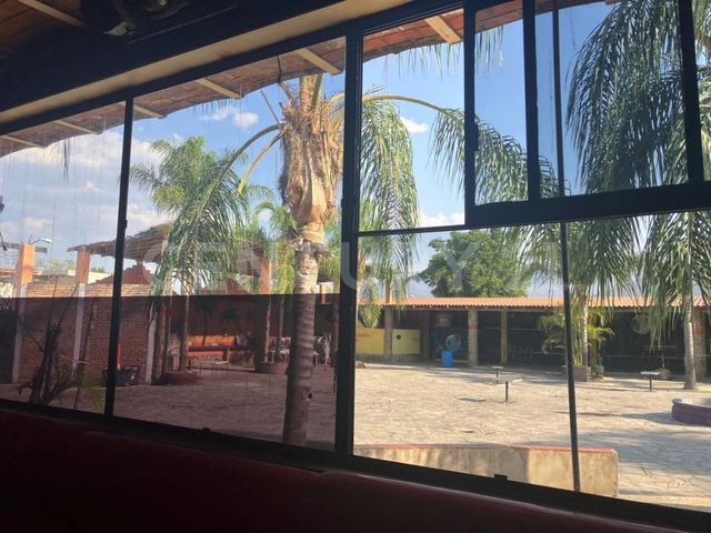 place photo 18