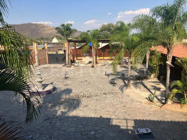 place photo 6