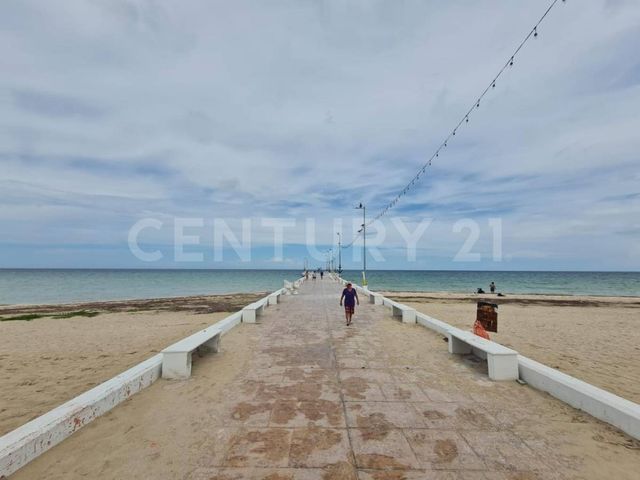 place photo 21