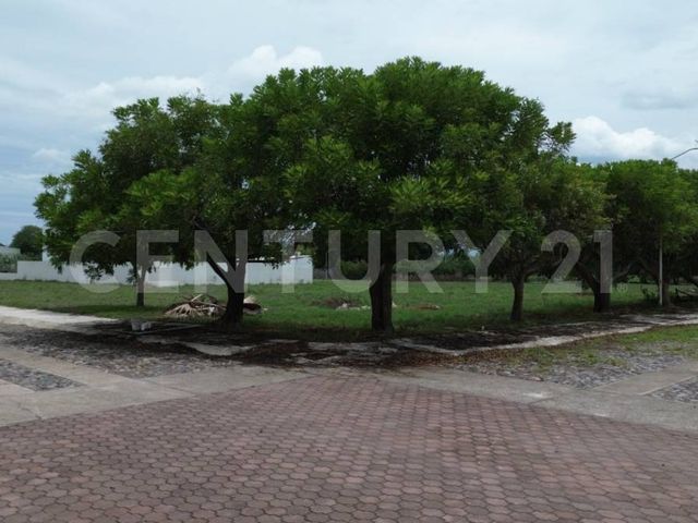 place photo 21