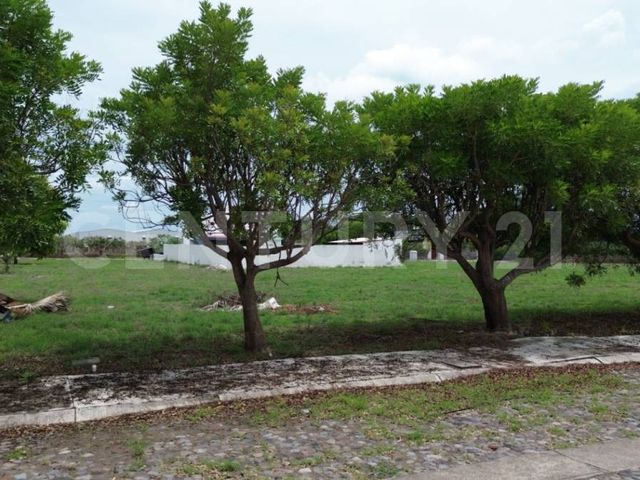 place photo 16