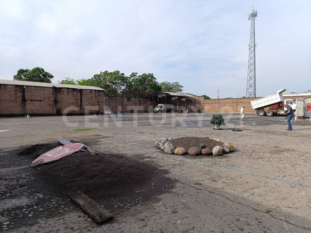 place photo 16