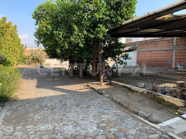 place photo 21