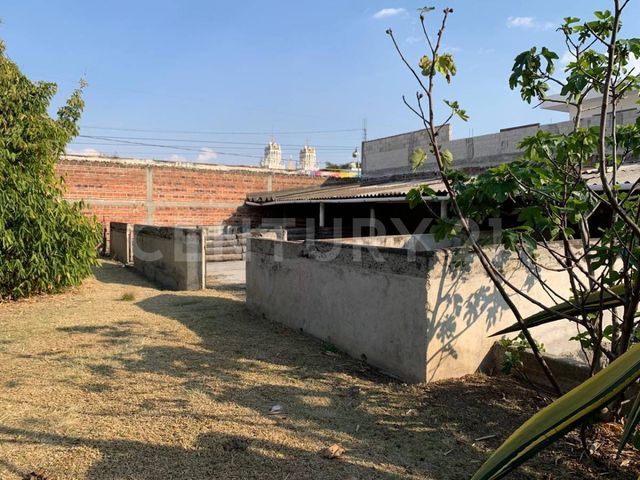 place photo 30