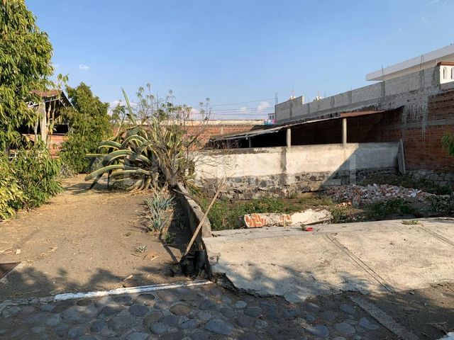 place photo 35