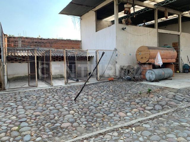 place photo 17