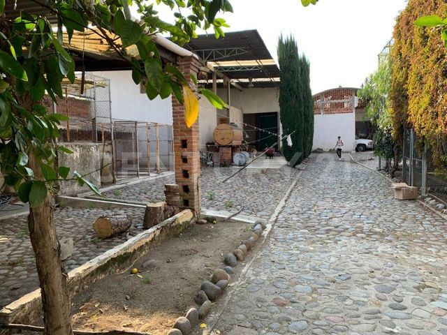 place photo 36