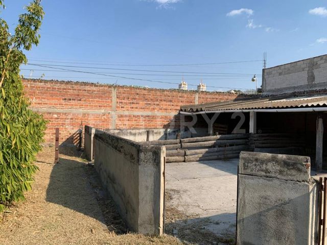 place photo 26