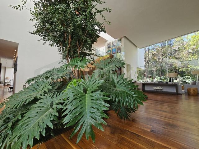 place photo 51