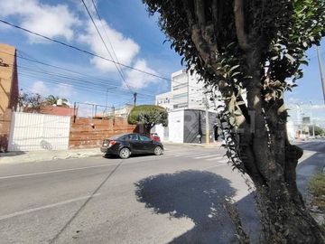 place photo 24