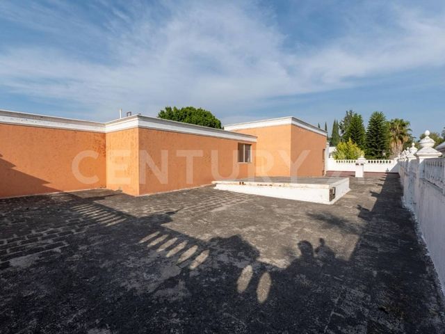 place photo 36