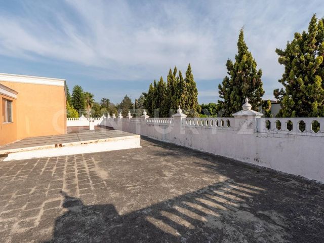 place photo 37