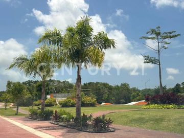 place photo 37