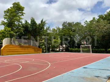 place photo 44