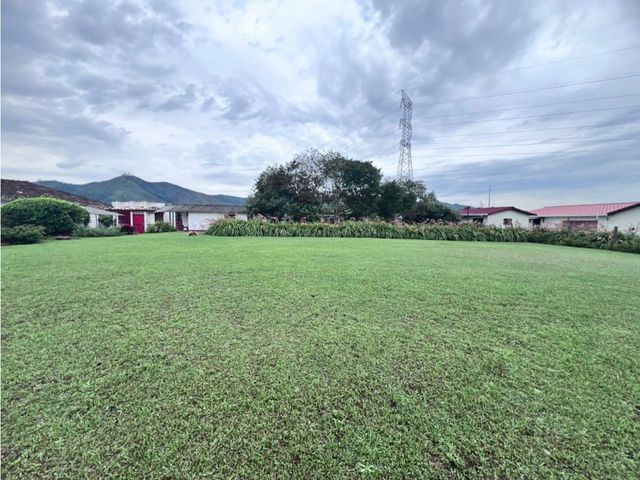 place photo 45