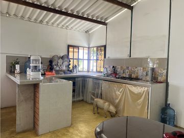 place photo 24