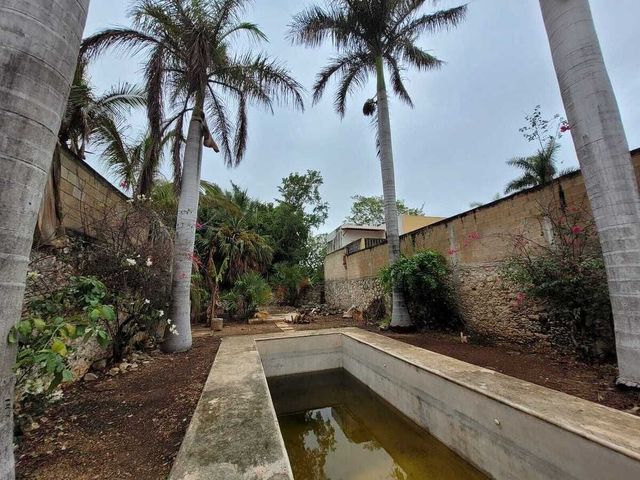place photo 36