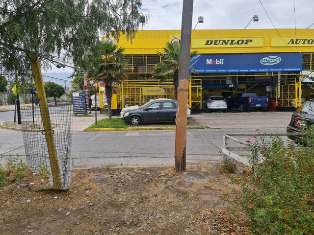 place photo 12
