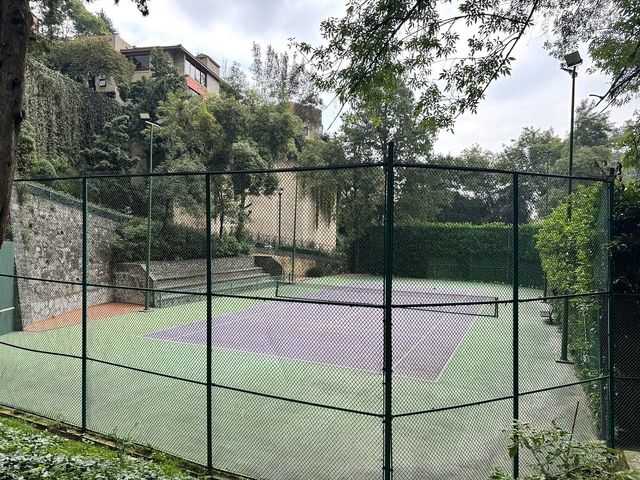 place photo 31