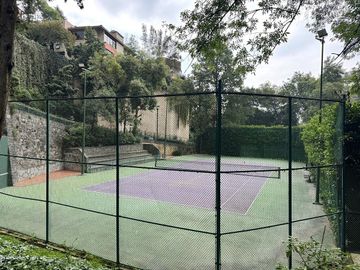 place photo 31
