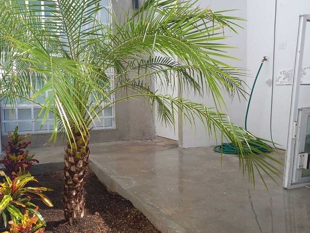 place photo 22